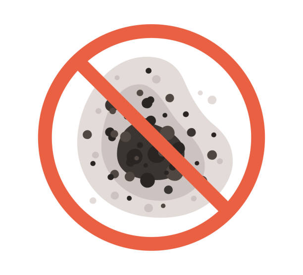Best Emergency Mold Remediation  in San Miguel, CA