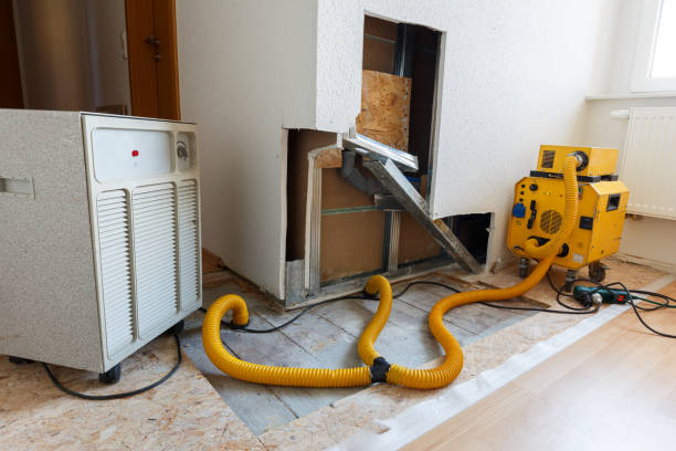 Biohazard Mold Removal in San Miguel, CA