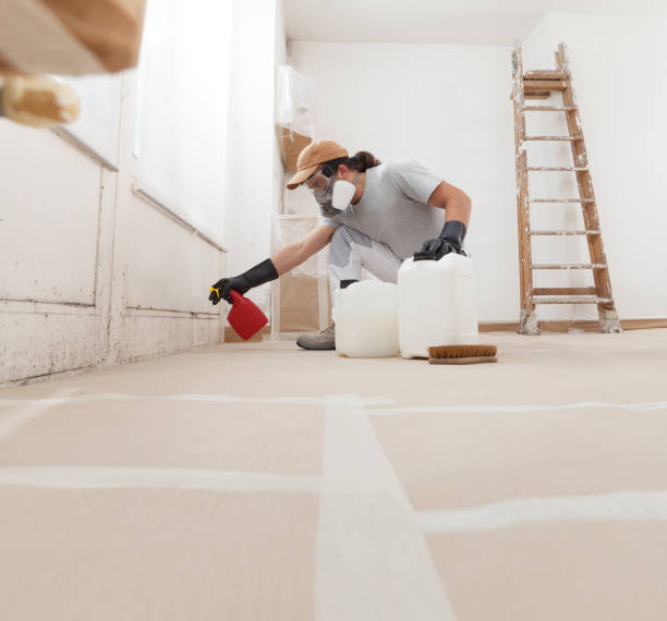 Best Forensic Mold Investigation  in San Miguel, CA